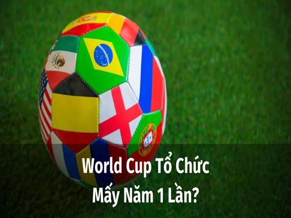 Trả lời câu hỏi World Cup mấy năm 1 lần?